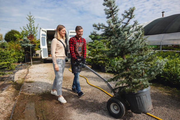 Tree Branch Trimming in Morrilton, AR